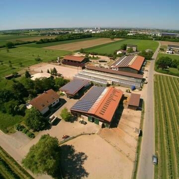 Bild: Stall in  Hirschberg an der Bergstraße