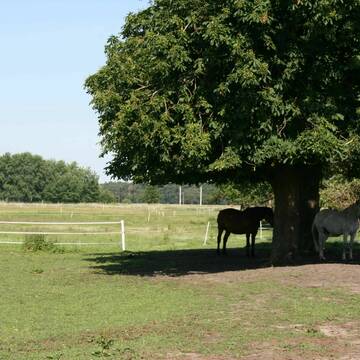 Bild: Stall in  Nassenheide