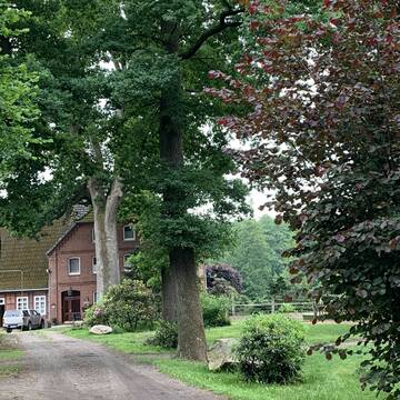 Bild: Stall in  Jesteburg