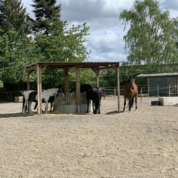 Bild: Stall in  Rheinbach