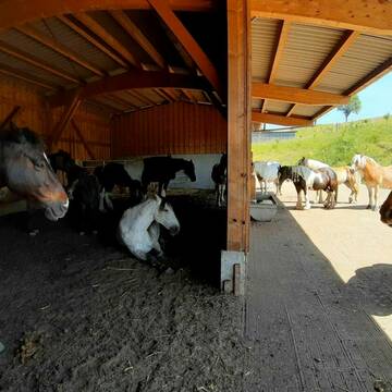 Bild: Stall in  Wartenberg-Rohrbach