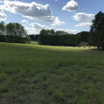 Bild: Stall in  Groß Schönebeck