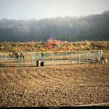 Bild: Stall in  Groß Schönebeck