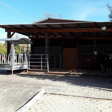 Mehrraumlaufstall für nicht auf die Wiese dürfer