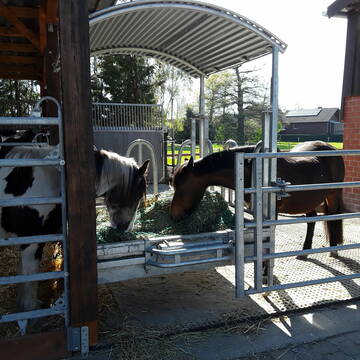 Gemeinsames Frühstück...