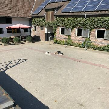 Bild: Stall in  Eller