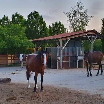 Bild: Stall in  Riedstadt