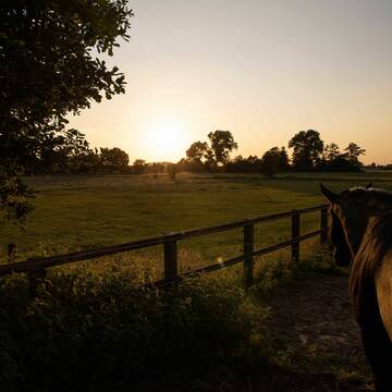 Bild: Stall in  Bremen