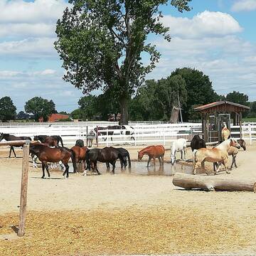 Bild: Stall in  Burgdorf