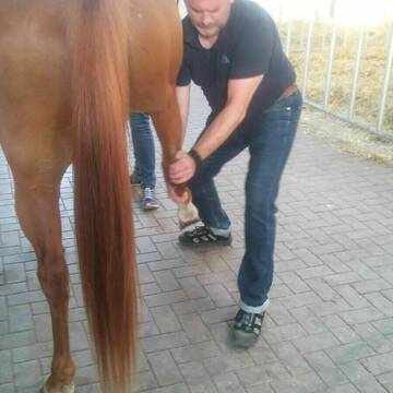 Bild: Service in  Dinslaken