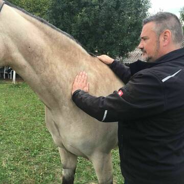 Bild: Service in  Dinslaken