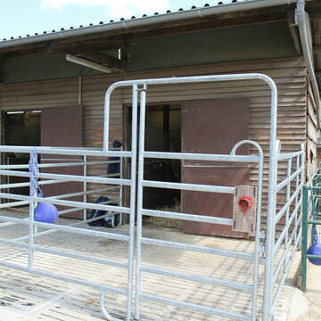 Bild: Stall in  Kempen-Viersen