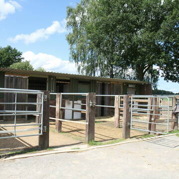 Bild: Stall in  Kempen-Viersen