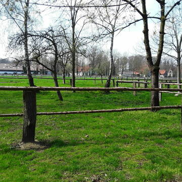 Bild: Stall in  Bissendorf