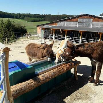 Bild: Stall in  Kirchhundem