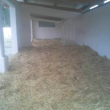 ...und direkt gegenüber der große Offenstall