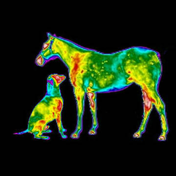 Bild: Service in  Neustadt am Rübenberge