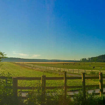 7 ha solide umzäunte ganzjährige Koppelflächen