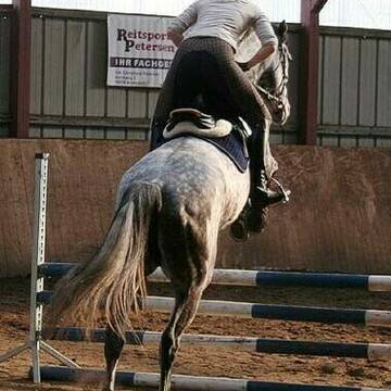 Bild: Stellenmarkt in  Ahrensfelde