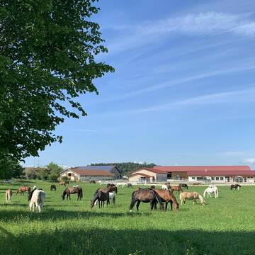 Bild: Stall in  Starnberg