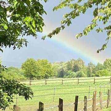 Bild: Stall in  Neu-Anspach