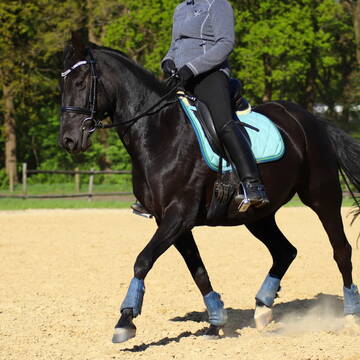 Bild: Stall in  Großenkneten