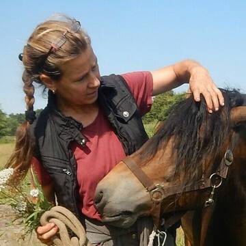 Bild: Service in  Seevetal