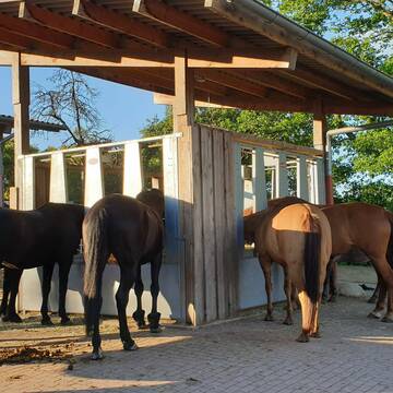 Bild: Stall in  Melle