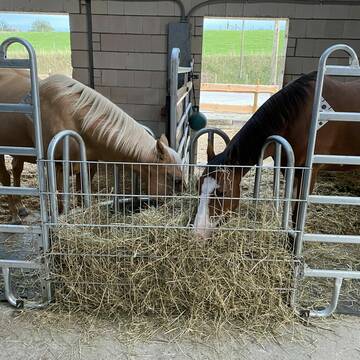 Bild: Stall in  Bad Münstereifel