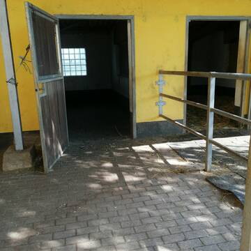 Bild: Stall in Sindorf
