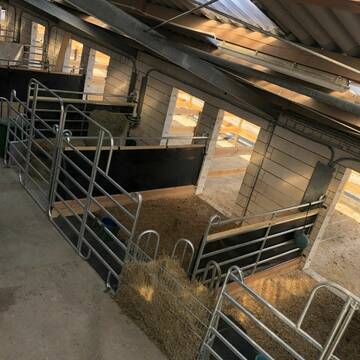 Bild: Stall in  Bad Münstereifel