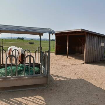 Bild: Weide in  Hennef (Sieg)