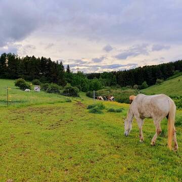 Bild: Stall in  Aldingen