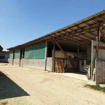 einer der Offenställe