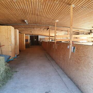 Innenbereich der Paddockboxen