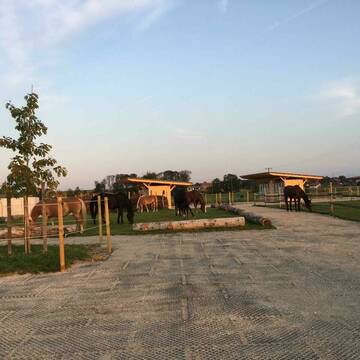 Bild: Stall in  Emmering