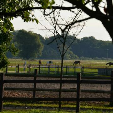 Bild: Stall in  Teutschenthal