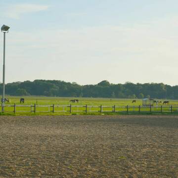 Bild: Stall in  Teutschenthal