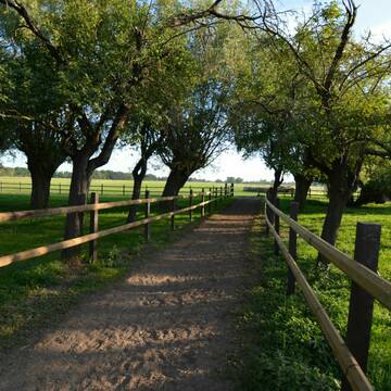 Bild: Stall in  Teutschenthal