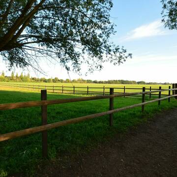 Bild: Stall in  Teutschenthal