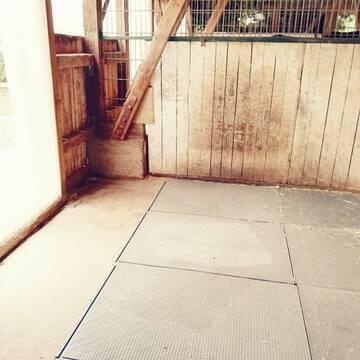 Bild: Stall in  Reilingen