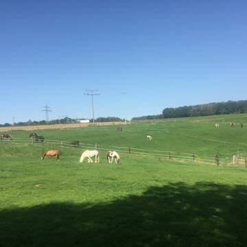Bild: Stall in  Langenzenn