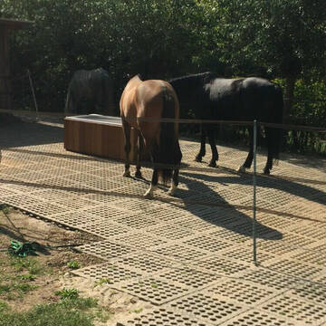 Bild: Stall in  Hubbelrath