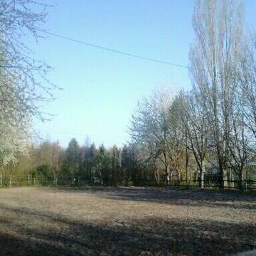 Bild: Stall in  Alzey