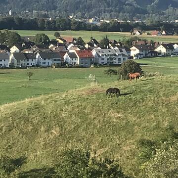 Bild: Stall in  Stegen