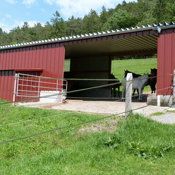 Bild: Weide in  Aichen-Gutenburg