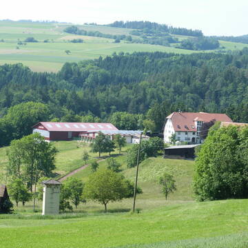 Bild: Weide in  Aichen-Gutenburg