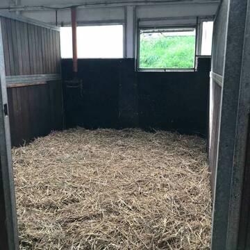 Bild: Stall in  Witten