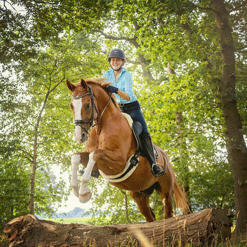 Bild: Stall in  Bad Zwischenahn