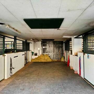 Innenstall 7 geräumige Boxen